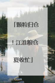 颗粒归仓！江淮粮仓夏收忙