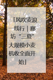 风吹麦浪一线行｜廊坊“三夏”大规模小麦机收全面开始