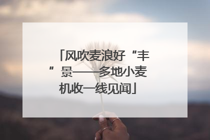 风吹麦浪好“丰”景——多地小麦机收一线见闻