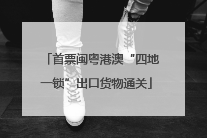 首票闽粤港澳“四地一锁”出口货物通关