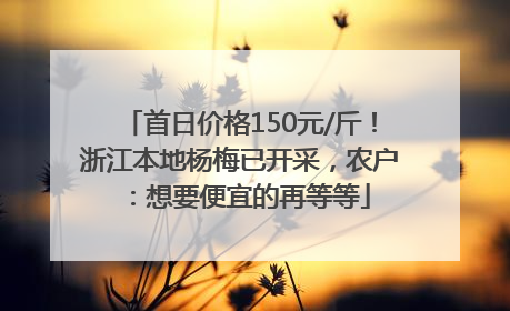 首日价格150元/斤！浙江本地杨梅已开采，农户：想要便宜的再等等