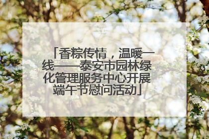 香粽传情，温暖一线——泰安市园林绿化管理服务中心开展端午节慰问活动