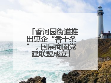 香河园街道推出惠企“香十条”，国展商圈党建联盟成立