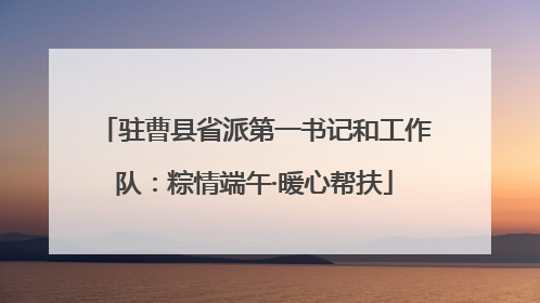 驻曹县省派第一书记和工作队：粽情端午·暖心帮扶