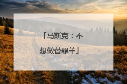 马斯克：不想做替罪羊