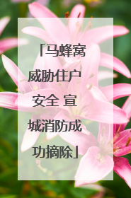 马蜂窝威胁住户安全 宣城消防成功摘除