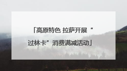 高原特色 拉萨开展“过林卡”消费满减活动