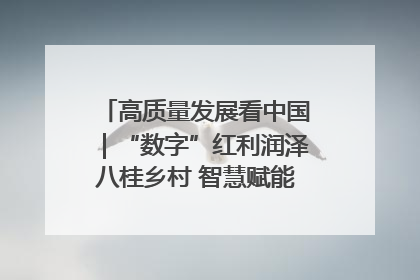 高质量发展看中国｜“数字”红利润泽八桂乡村 智慧赋能绘就振兴画卷
