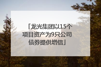 龙光集团以15个项目资产为9只公司债券提供增信