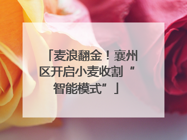 麦浪翻金！襄州区开启小麦收割“智能模式”