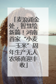 麦浪涌金处，智慧绘新篇！河南首家“小麦—玉米”周年生产无人农场喜迎丰收