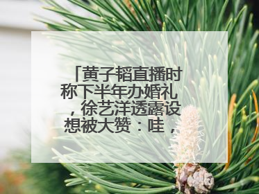 黄子韬直播时称下半年办婚礼，徐艺洋透露设想被大赞：哇，这个太好了
