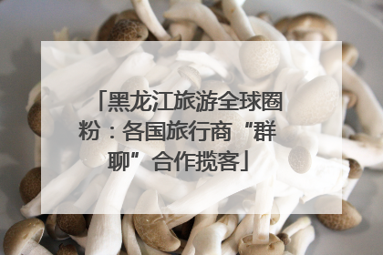 黑龙江旅游全球圈粉：各国旅行商“群聊”合作揽客