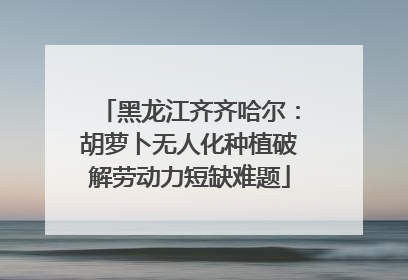 黑龙江齐齐哈尔：胡萝卜无人化种植破解劳动力短缺难题