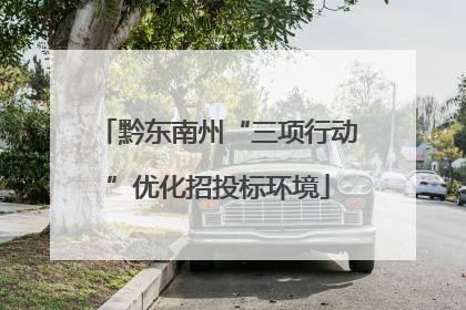 黔东南州“三项行动”优化招投标环境