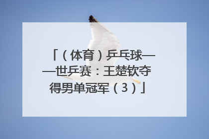 （体育）乒乓球——世乒赛：王楚钦夺得男单冠军（3）