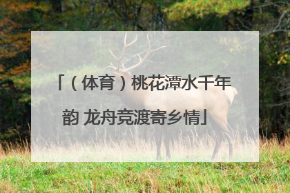 （体育）桃花潭水千年韵 龙舟竞渡寄乡情