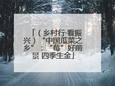 （乡村行·看振兴）“中国瓜菜之乡”：“莓”好前景 四季生金