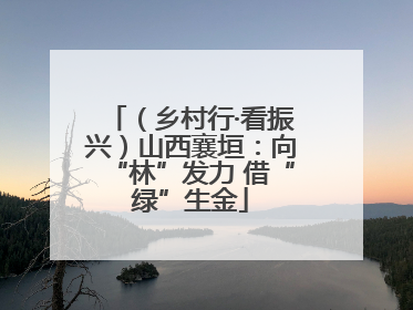 （乡村行·看振兴）山西襄垣：向“林”发力 借“绿”生金