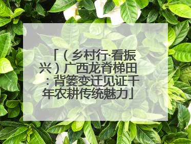 （乡村行·看振兴）广西龙脊梯田：背篓变迁见证千年农耕传统魅力