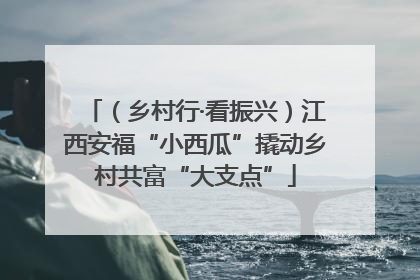 （乡村行·看振兴）江西安福“小西瓜”撬动乡村共富“大支点”