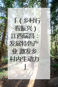 （乡村行·看振兴）江西瑞昌：发展特色产业 激发乡村内生动力