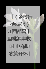 （乡村行·看振兴）江西都昌十里桃源丰收时 电商助农笑开怀