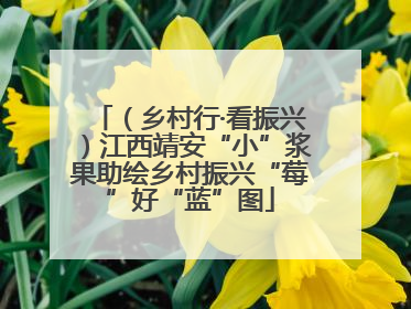 （乡村行·看振兴）江西靖安“小”浆果助绘乡村振兴“莓”好“蓝”图