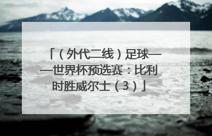 （外代二线）足球——世界杯预选赛：比利时胜威尔士（3）