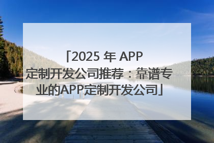 2025 年 APP 定制开发公司推荐：靠谱专业的APP定制开发公司