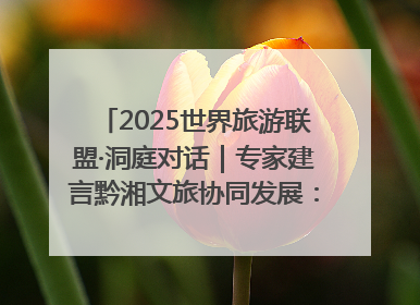 2025世界旅游联盟·洞庭对话｜专家建言黔湘文旅协同发展：聚焦产品稀缺性 深化区域经验共享