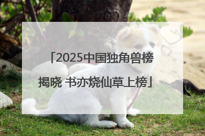 2025中国独角兽榜揭晓 书亦烧仙草上榜
