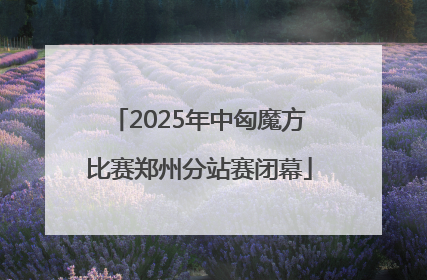 2025年中匈魔方比赛郑州分站赛闭幕
