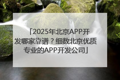 2025年北京APP开发哪家靠谱？细数北京优质专业的APP开发公司