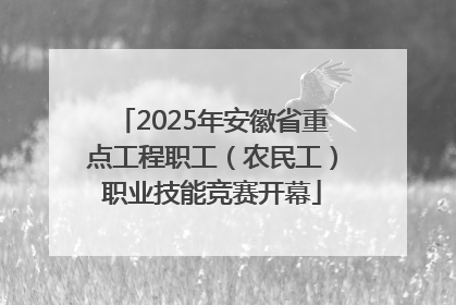 2025年安徽省重点工程职工（农民工）职业技能竞赛开幕