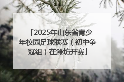 2025年山东省青少年校园足球联赛（初中争冠组）在潍坊开赛