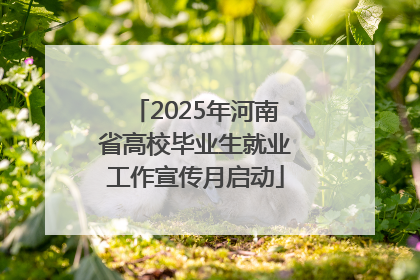 2025年河南省高校毕业生就业工作宣传月启动
