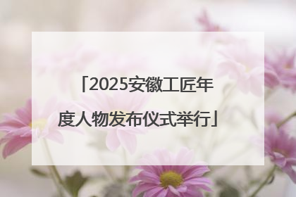 2025安徽工匠年度人物发布仪式举行