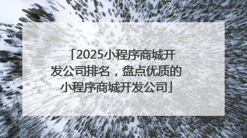 2025小程序商城开发公司排名，盘点优质的小程序商城开发公司