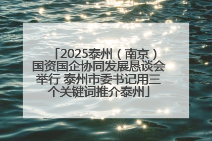 2025泰州（南京）国资国企协同发展恳谈会举行 泰州市委书记用三个关键词推介泰州