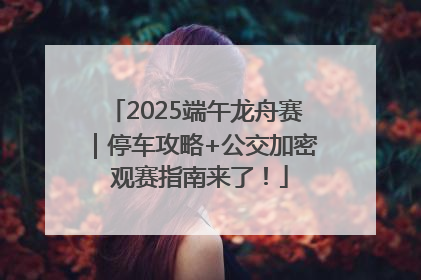 2025端午龙舟赛｜停车攻略+公交加密 观赛指南来了！