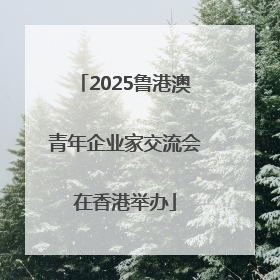 2025鲁港澳青年企业家交流会在香港举办