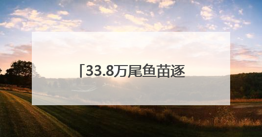 33.8万尾鱼苗逐浪入海！如东促进海洋渔业可持续发展