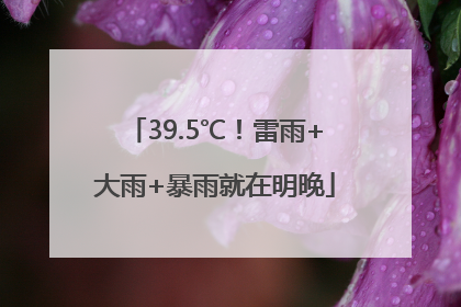 39.5℃！雷雨+大雨+暴雨就在明晚