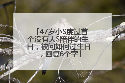 47岁小S度过首个没有大S陪伴的生日，被问如何过生日，回复6个字