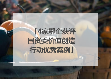 4家鄂企获评国资委价值创造行动优秀案例