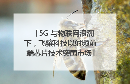 5G 与物联网浪潮下，飞骧科技以射频前端芯片技术突围市场