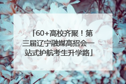 60+高校齐聚！第三届辽宁融媒高招会一站式护航考生升学路