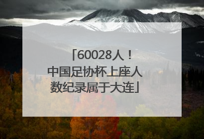 60028人！中国足协杯上座人数纪录属于大连