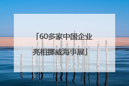 60多家中国企业亮相挪威海事展